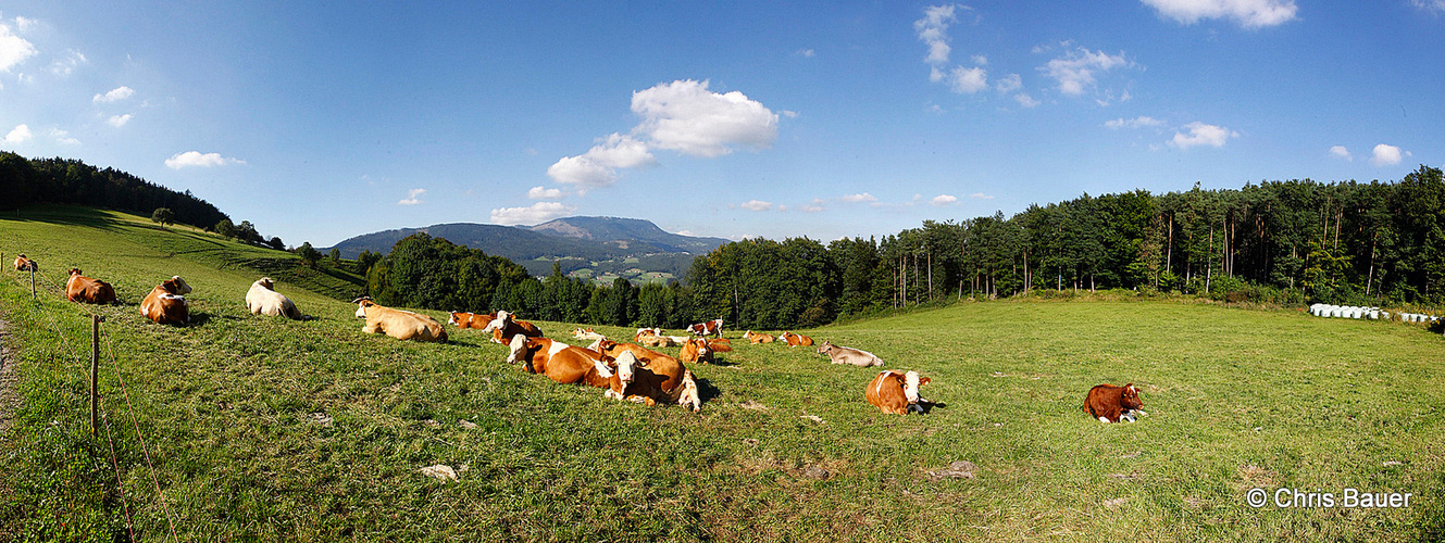 Leicht Herbstliche Steiermark