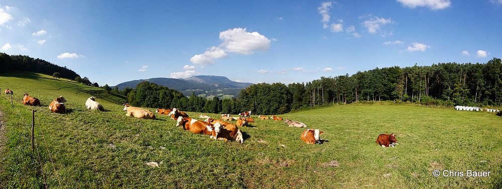 Leicht Herbstliche Steiermark