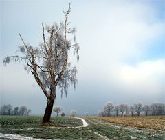 Leicht vergänglich