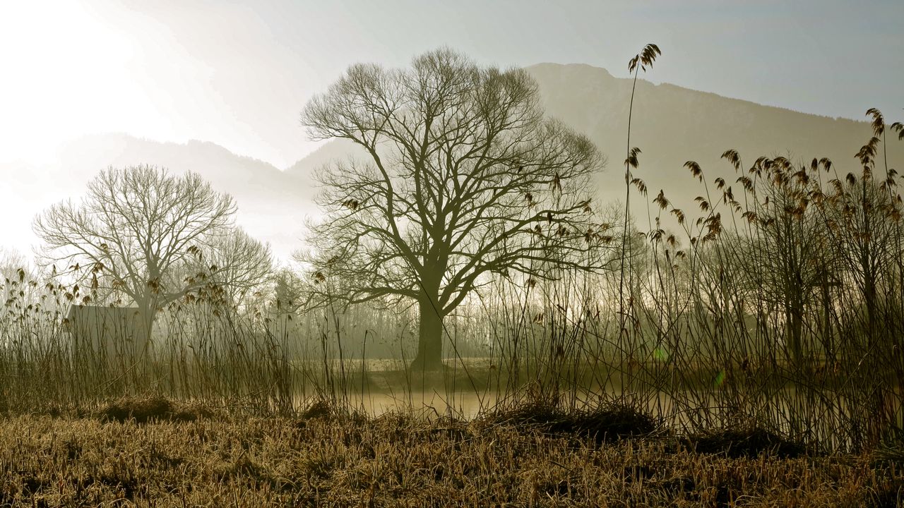 leicht vernebelt