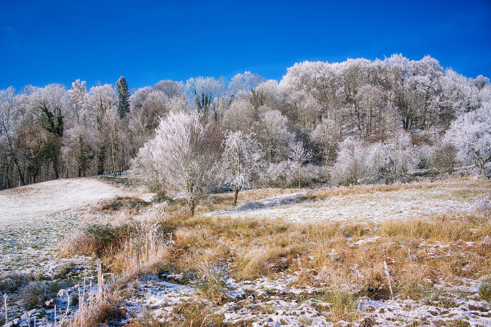 Leicht verschneite Landschaft