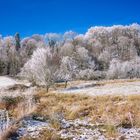 Leicht verschneite Landschaft