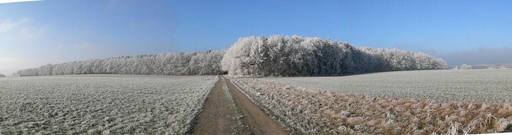 Leicht verschneiter Wald