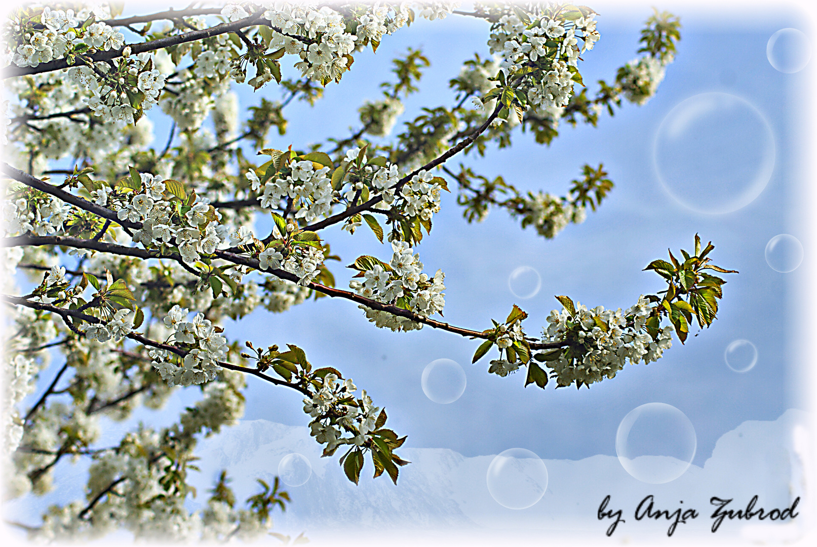 "Leicht, wie der Frühling..."