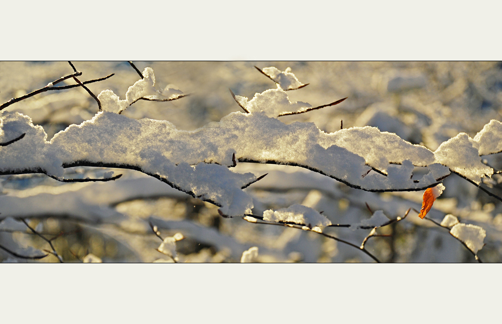 leicht wie Schnee