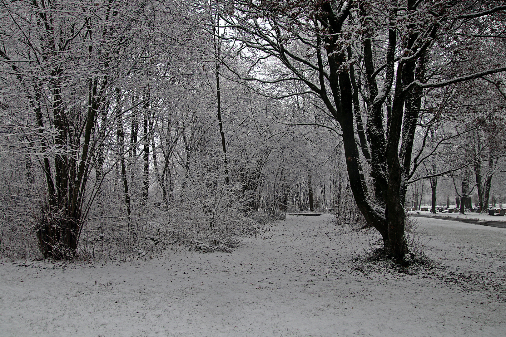 Leicht winterlich