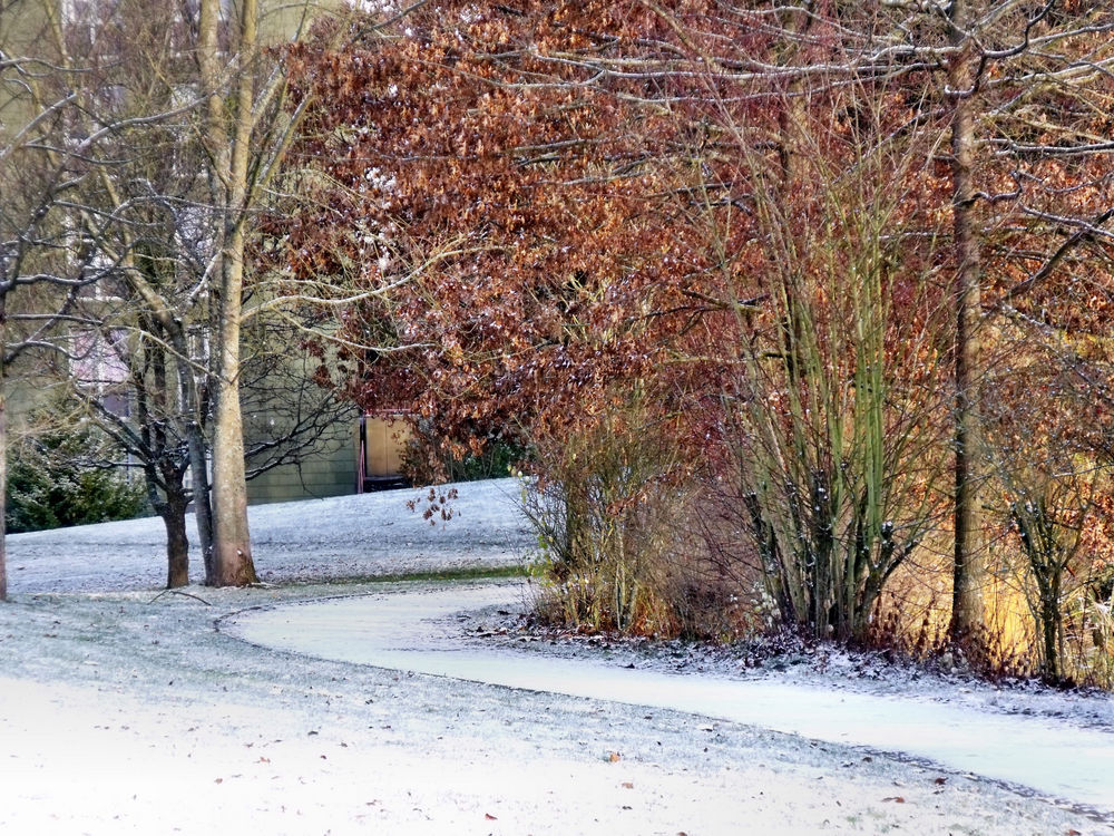 Leicht winterlicher Uni-Campus