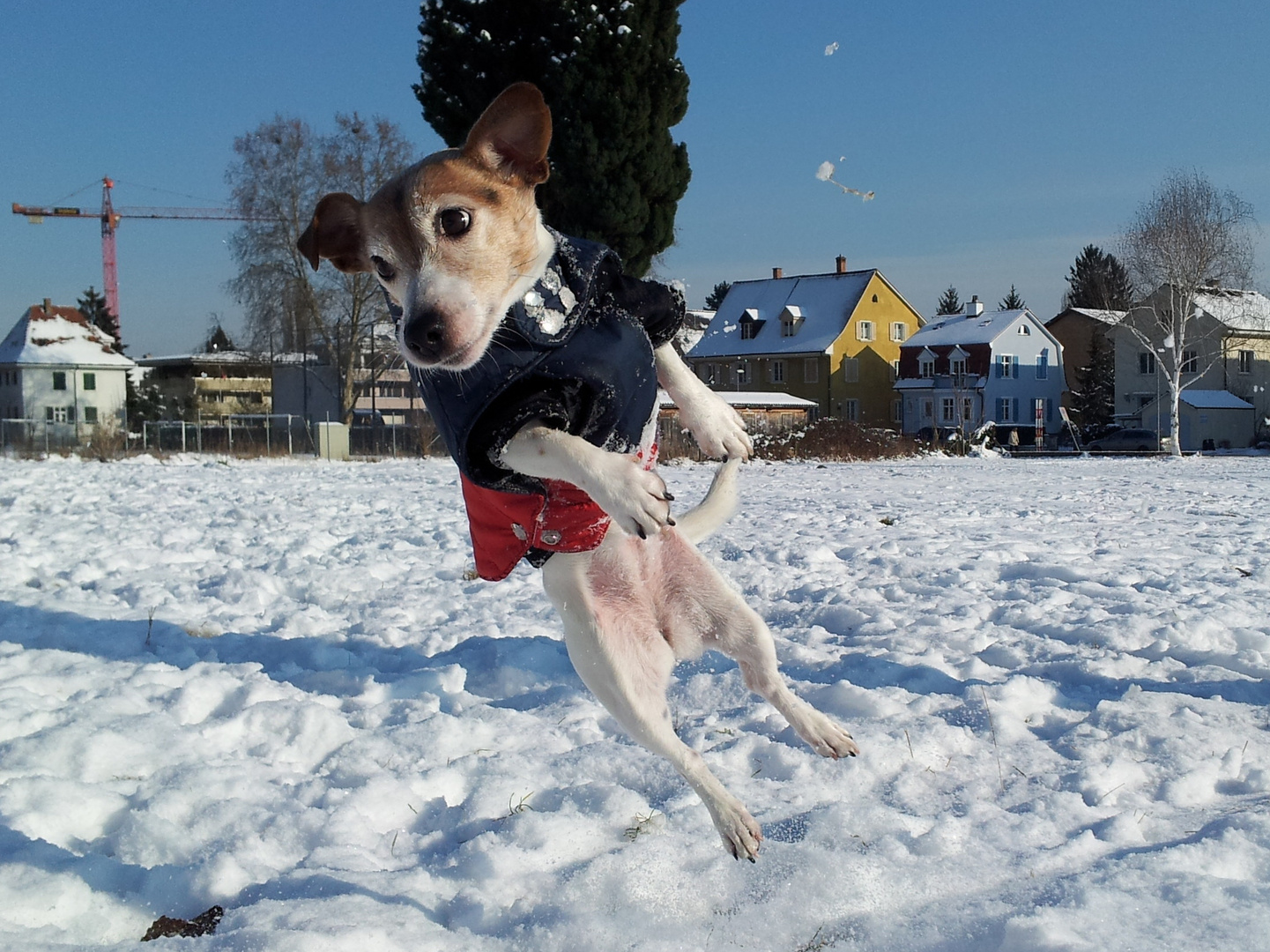 Leichtathletik im Schnee