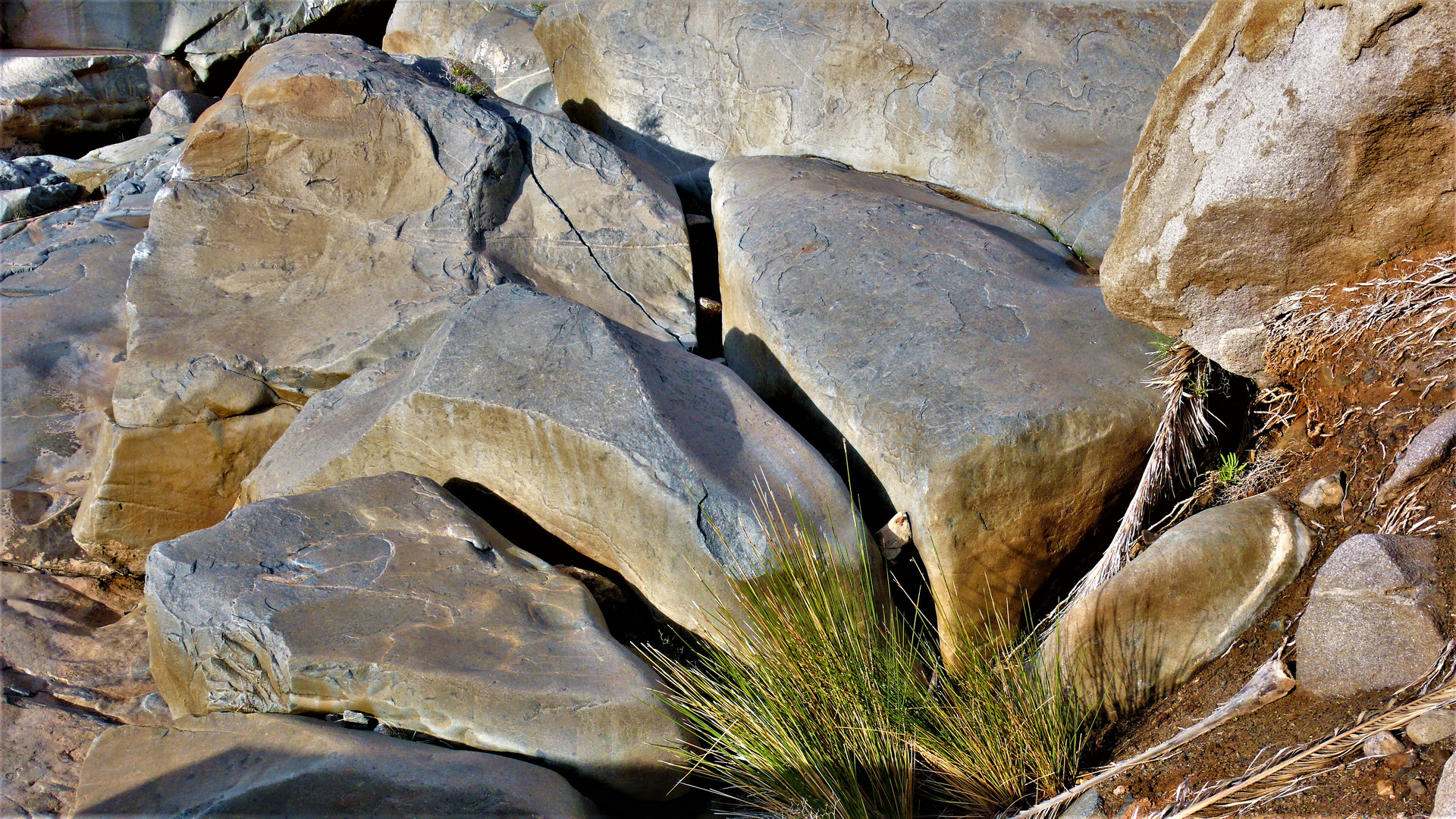 Leichtblauer Granit mit Gras 