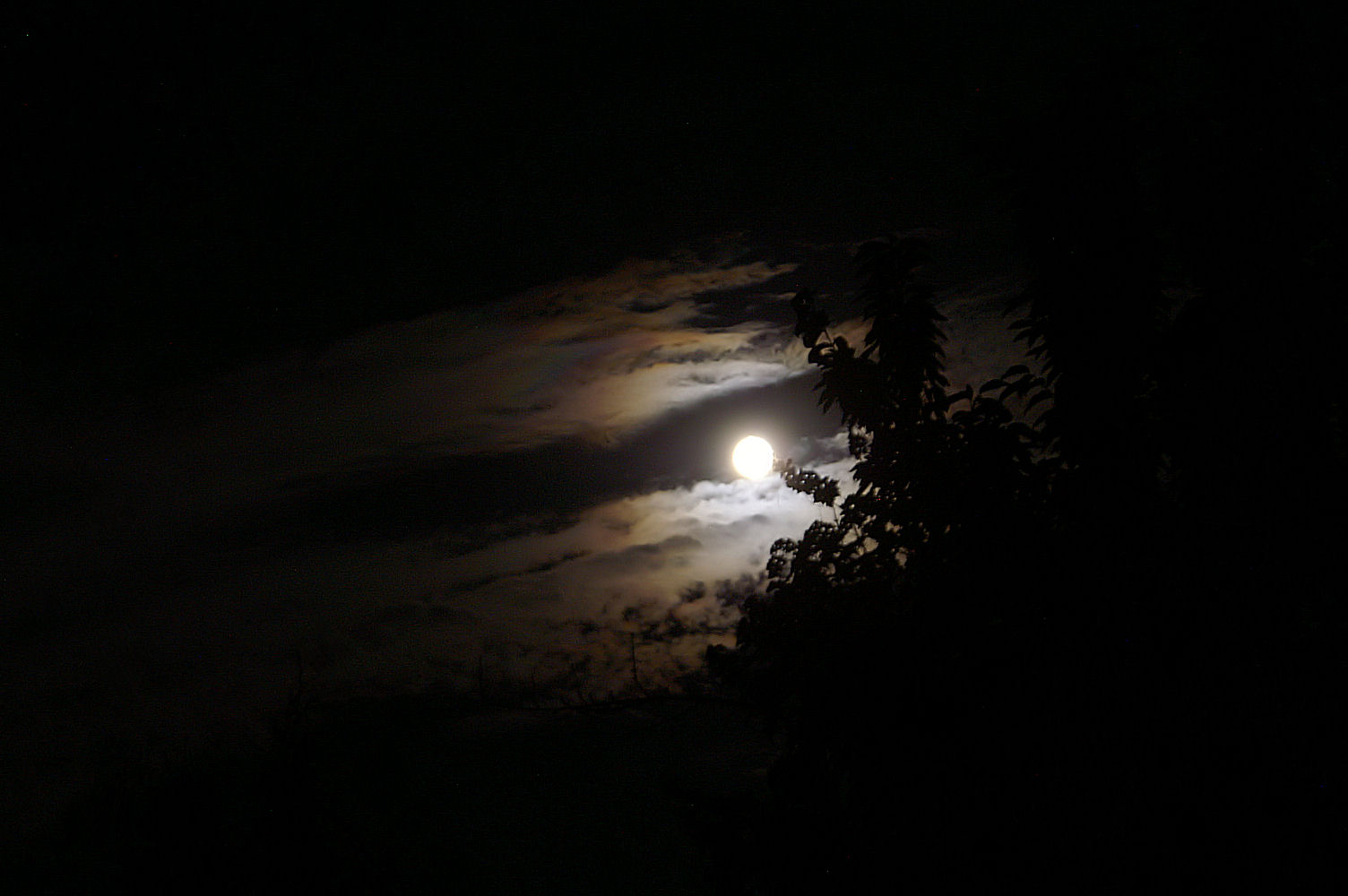 Leichte Bewölkung bei Vollmond