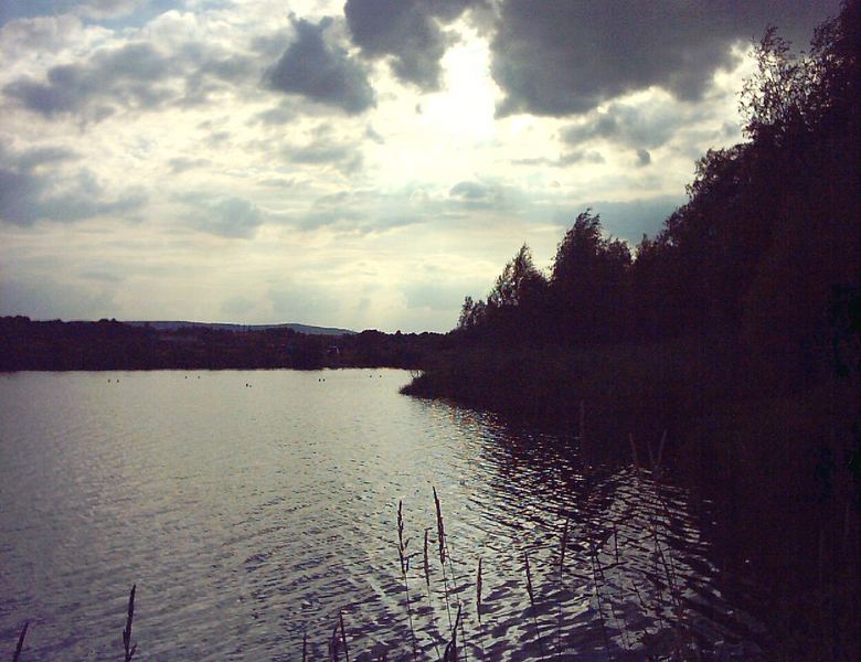 leichte Bewölkung über dem Badesee