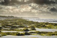 Leichte Briese auf Hiddensee ,