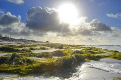 Leichte Briese auf Hiddensee ,