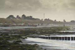 Leichte Briese/ Sturm Insel Hiddensee 