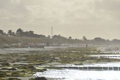 Leichte Briese/ Sturm Insel Hiddensee 