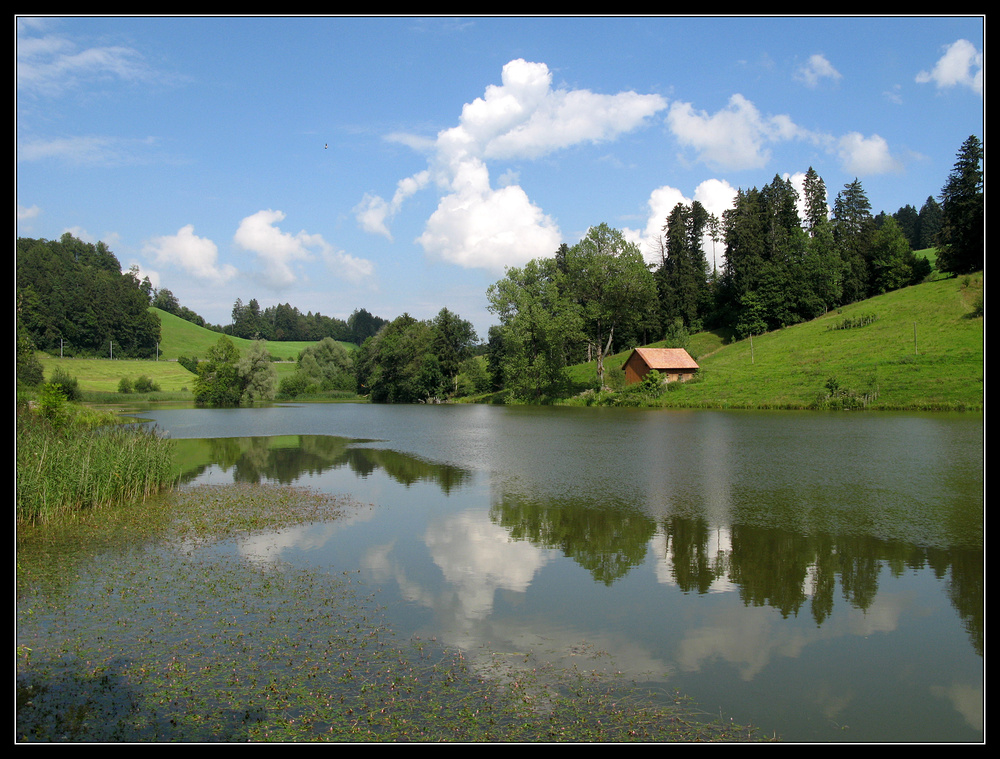 Leichte Brise auf dem Weniger Weiher ...