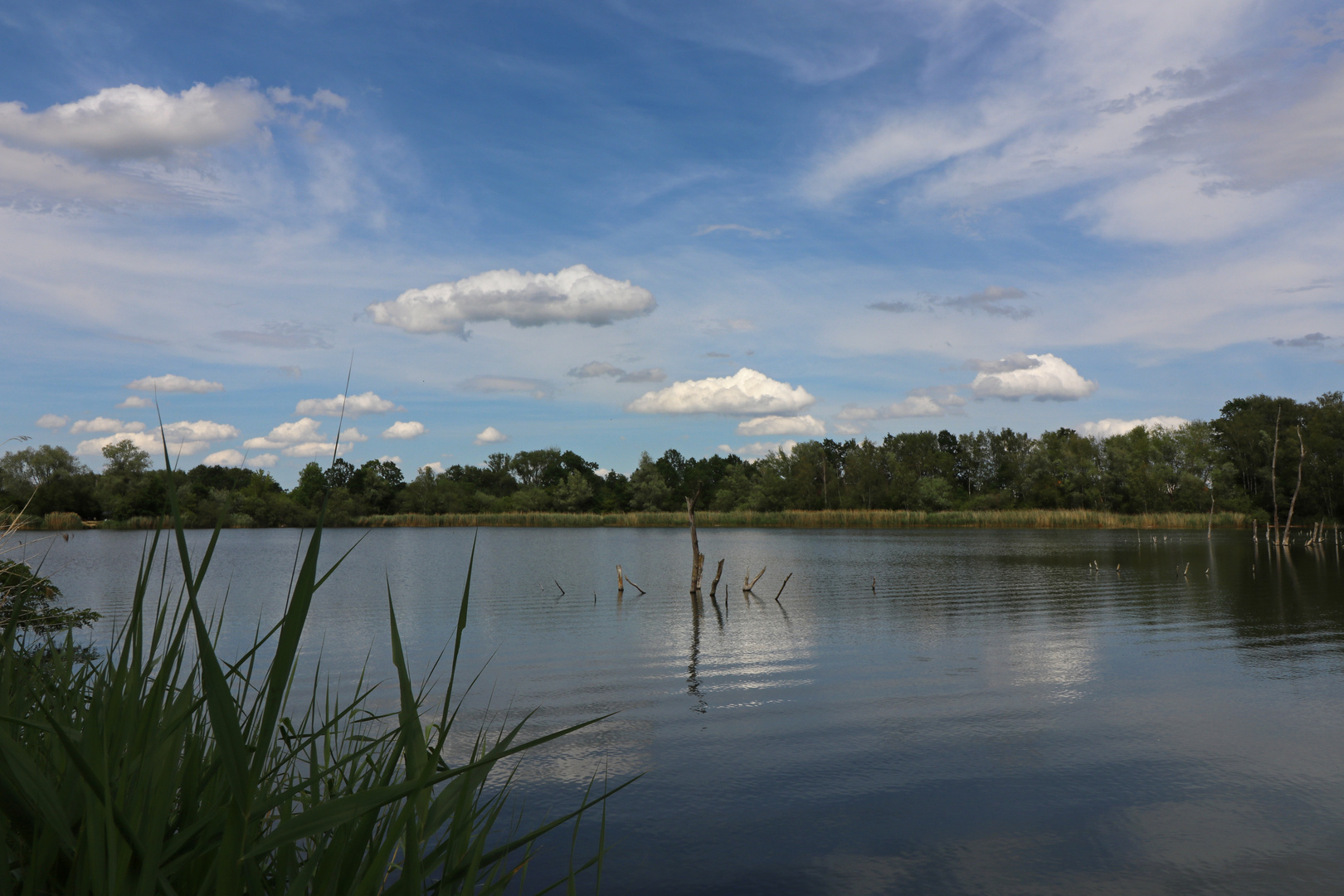 Leichte Dünung