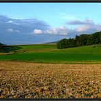 Leichte Färbung