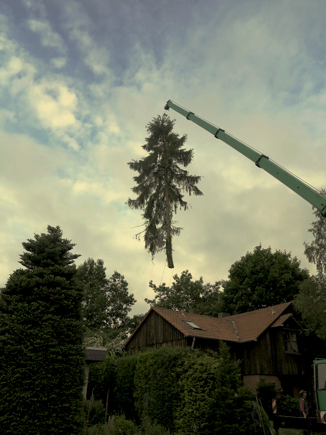 leichte Gartenarbeit ...