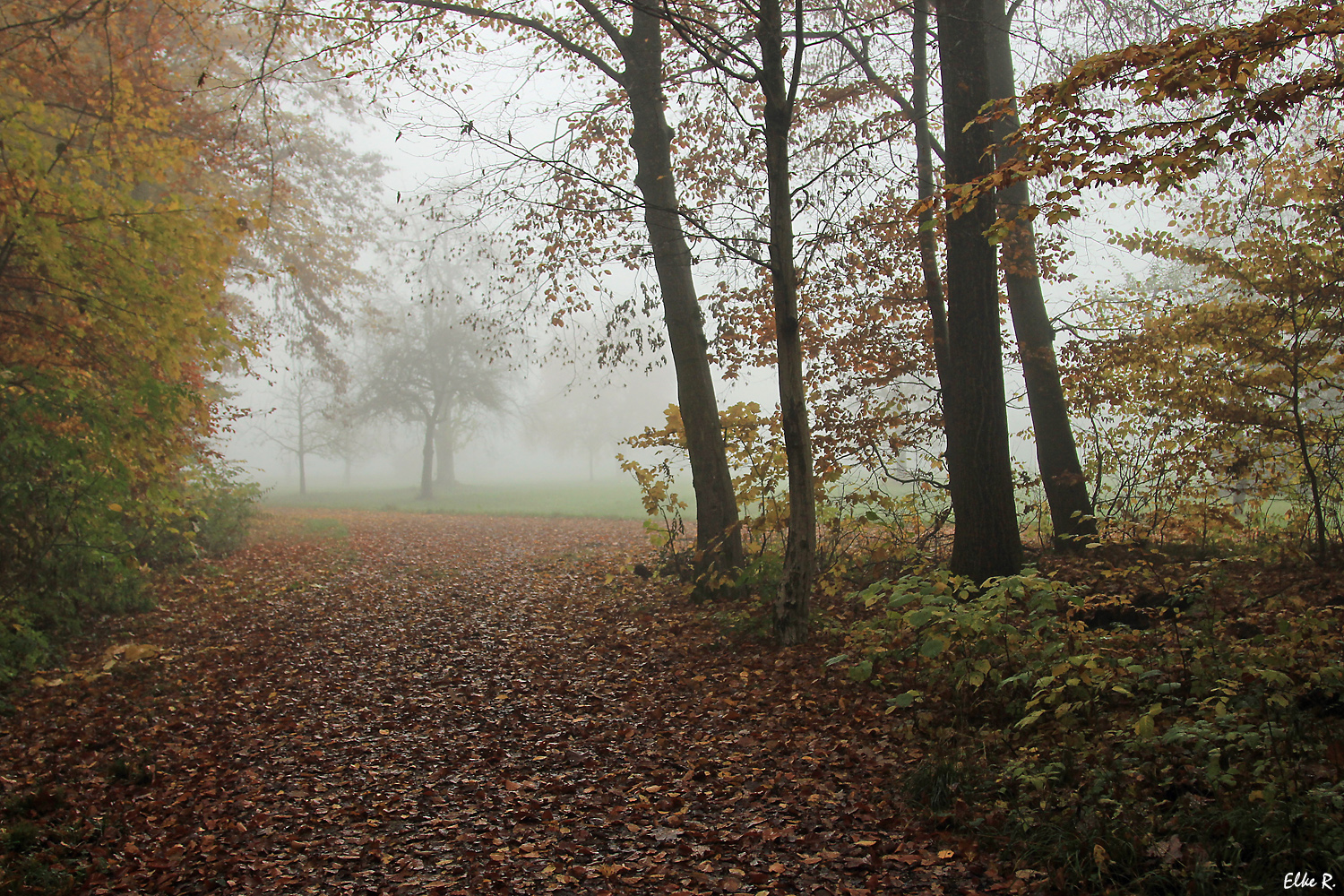 Leichte Nebelstimmung