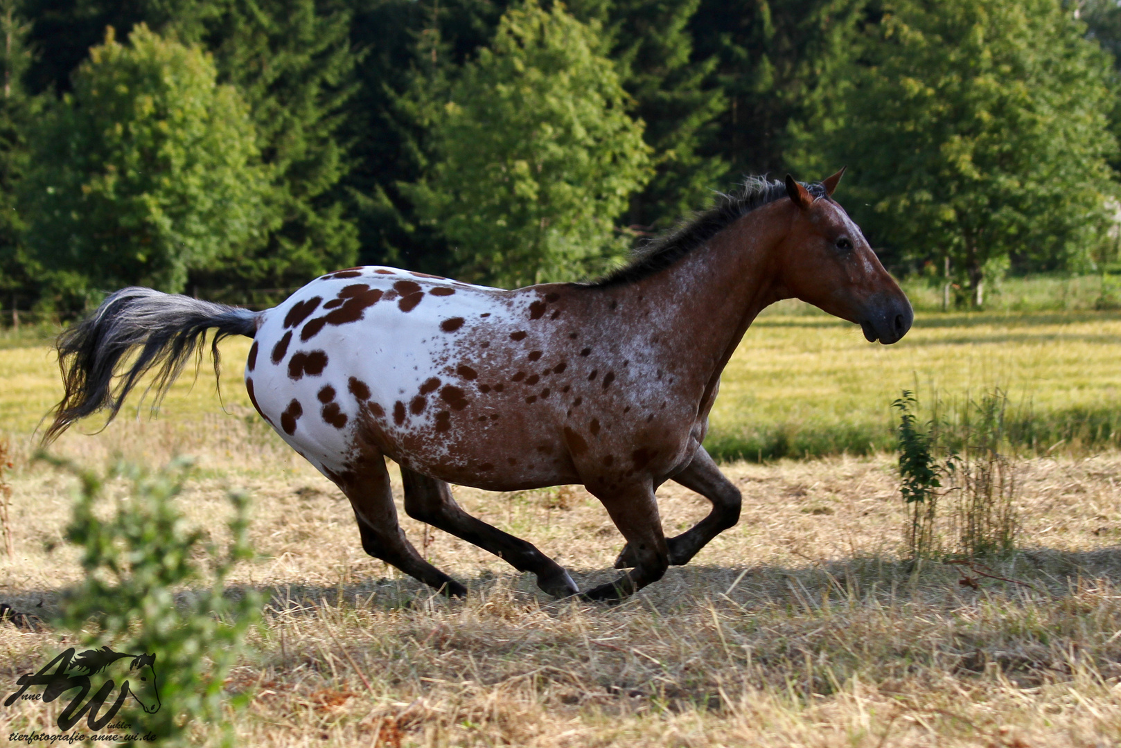 leichte Schräglage