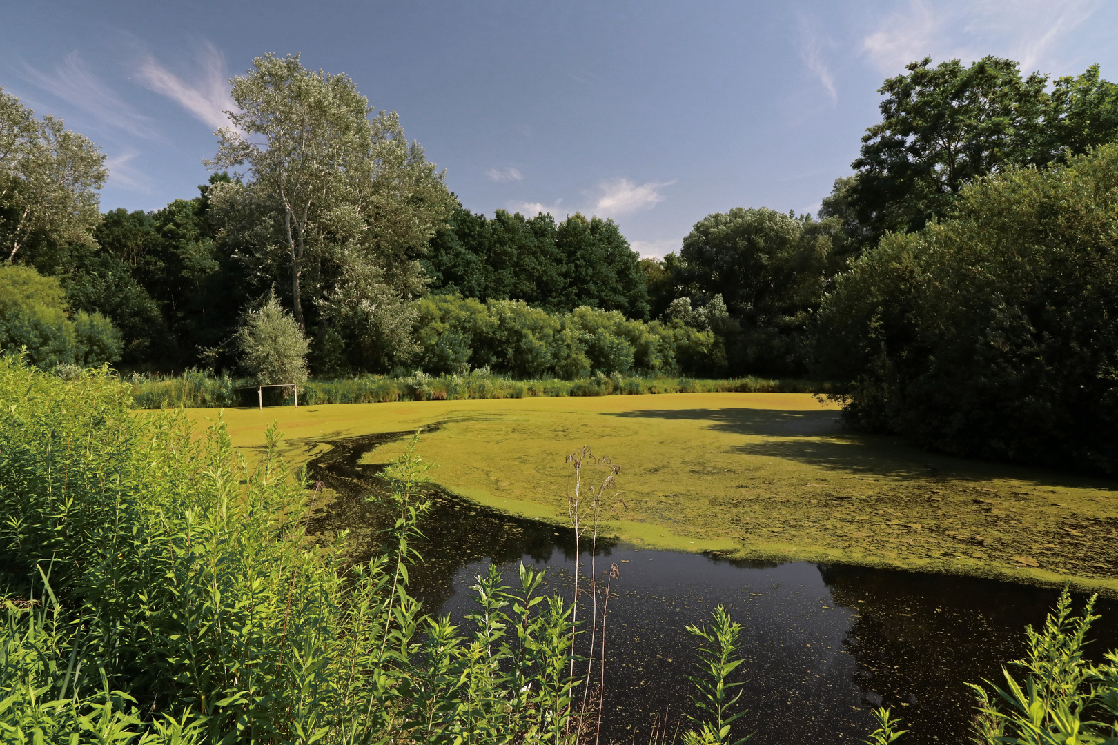 Leichte Strömung