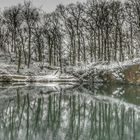 Leichte Winterspieglung am Teich..