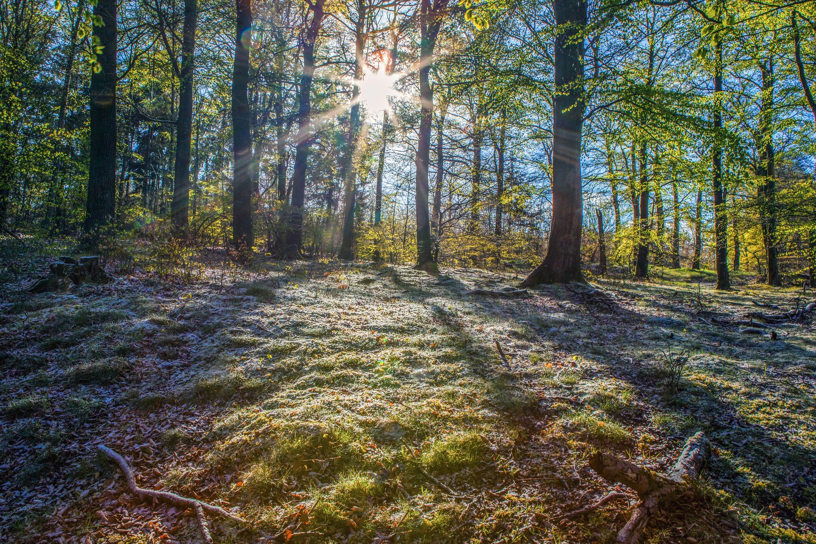 Leichter Bodenfrost in der Morgenstunde "Ende April"