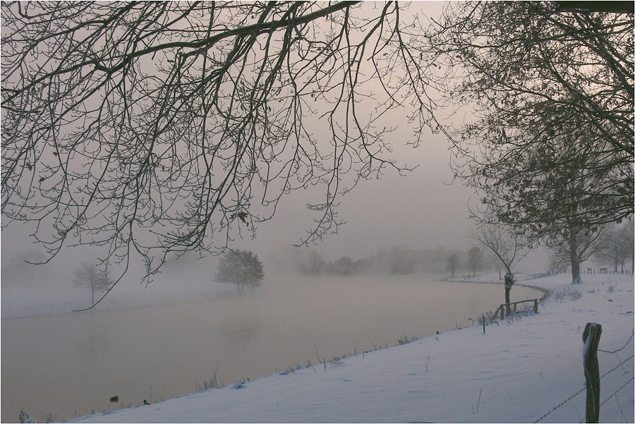 Leichter Bodennebel