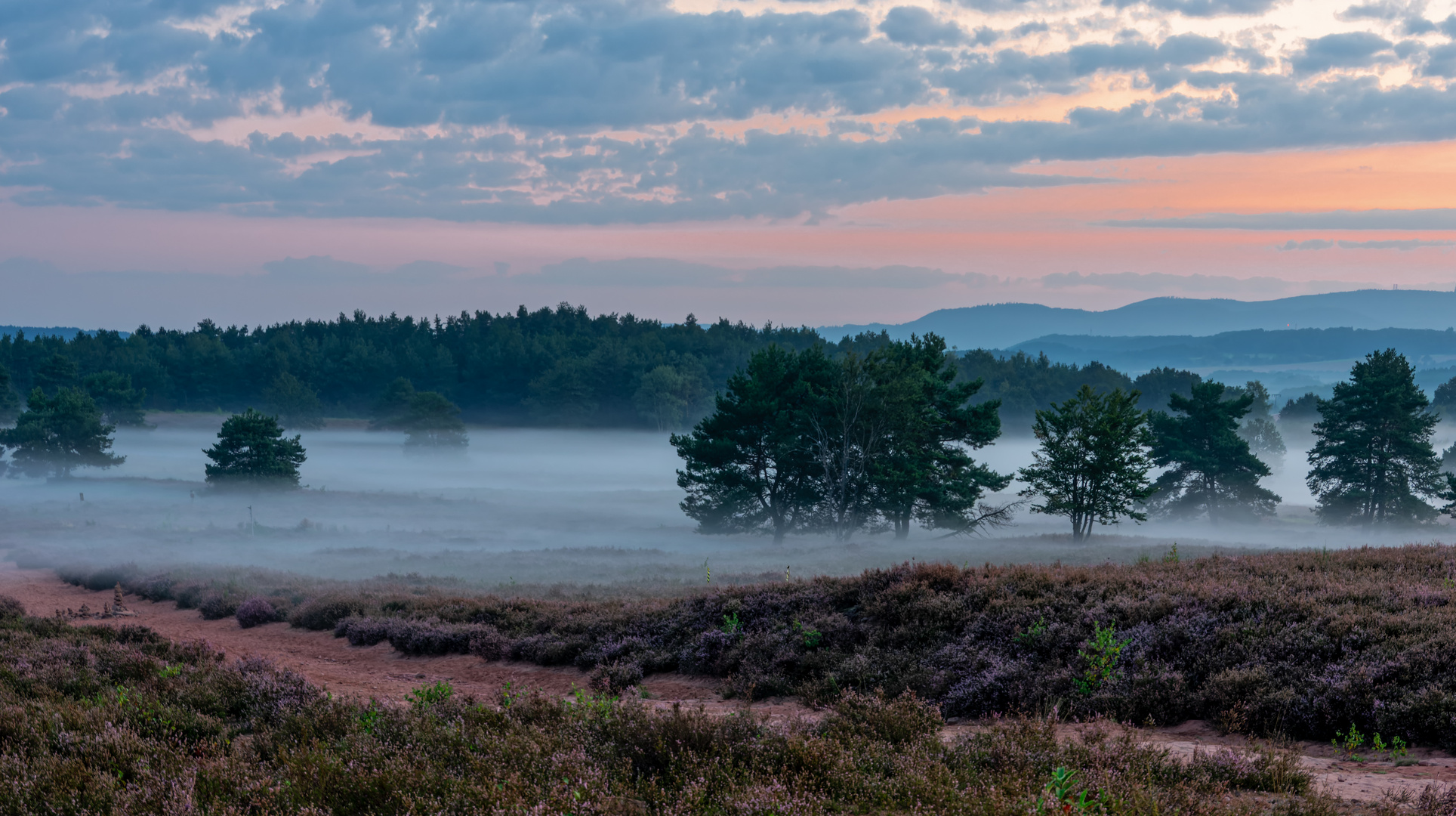 Leichter Bodennebel liegt über der Heide