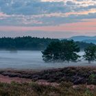 Leichter Bodennebel liegt über der Heide