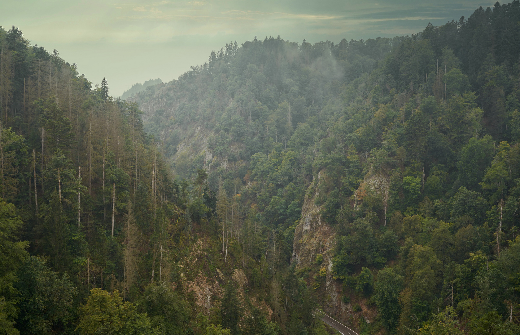 leichter Dunst im Tal