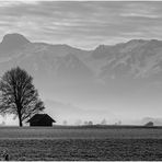 Leichter Dunst in sw