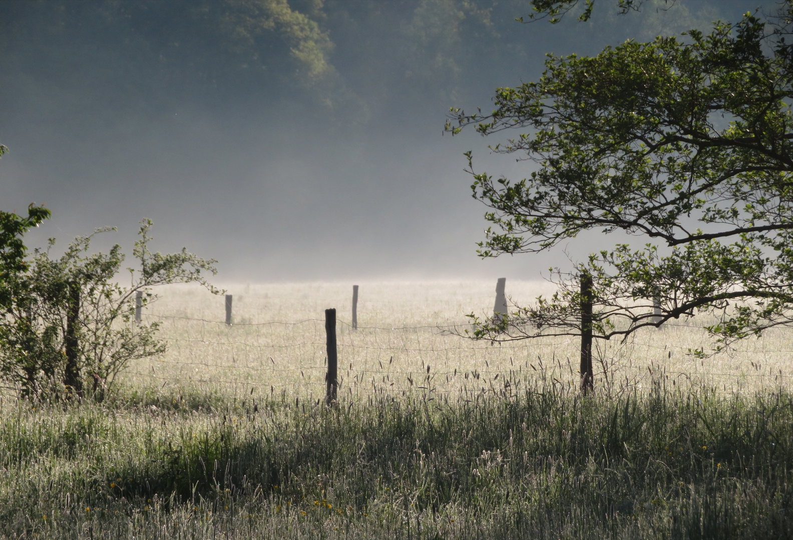 Leichter Durchblick