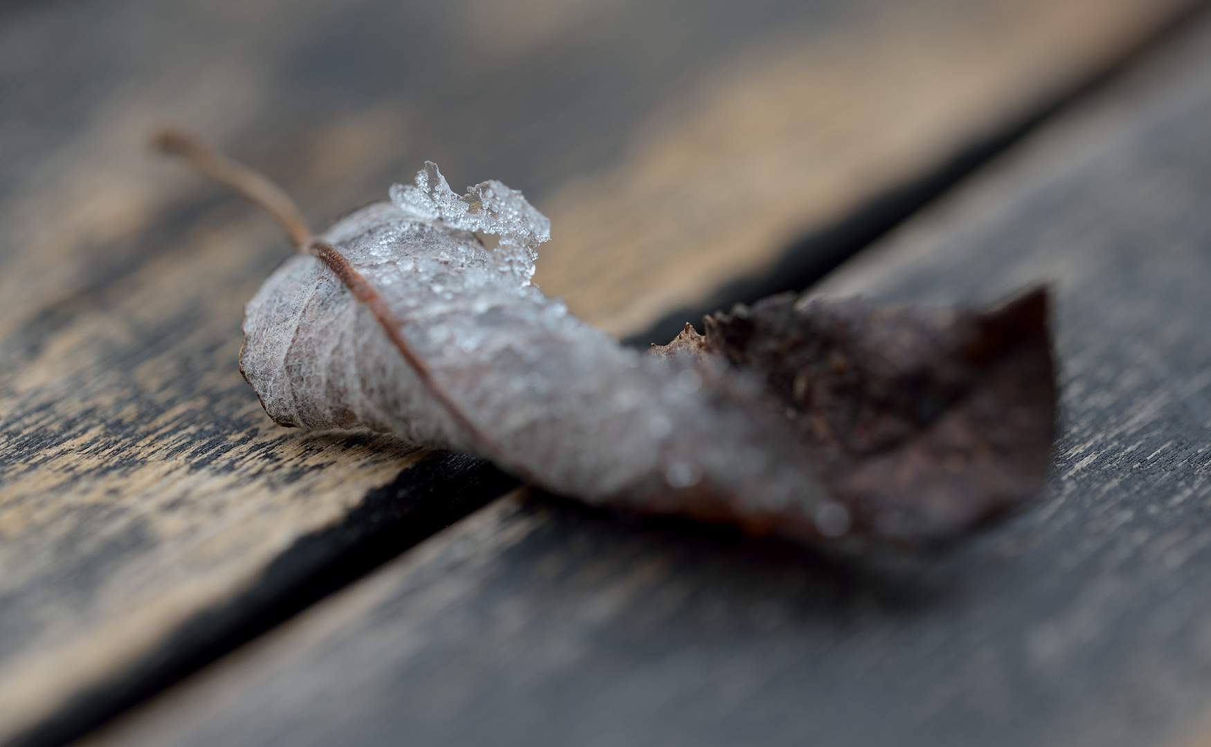 Leichter Eisansatzt.