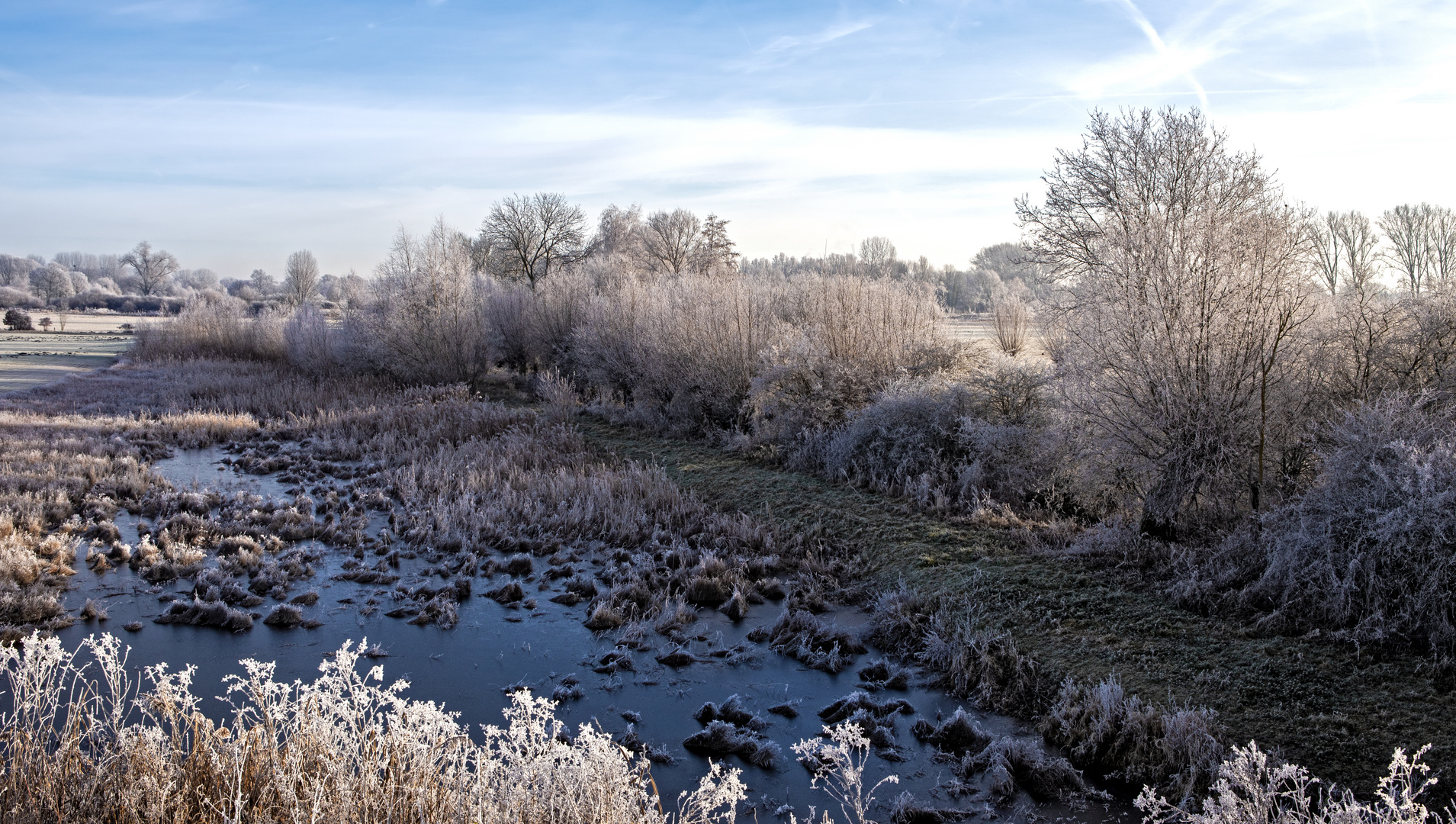 Leichter Frost