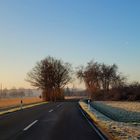 Leichter Frost liegt über den Wiesen