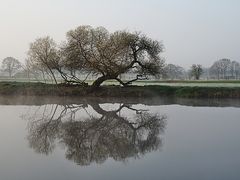 Leichter Frühnebel