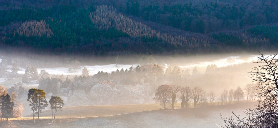 Leichter Frühnebel