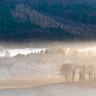 Leichter Frühnebel