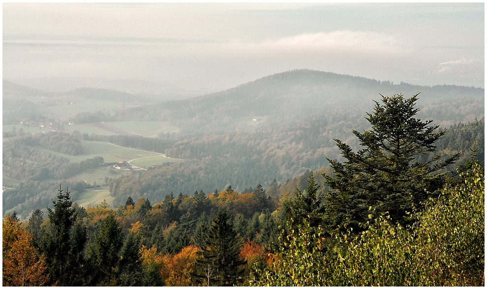 Leichter Morgennebel