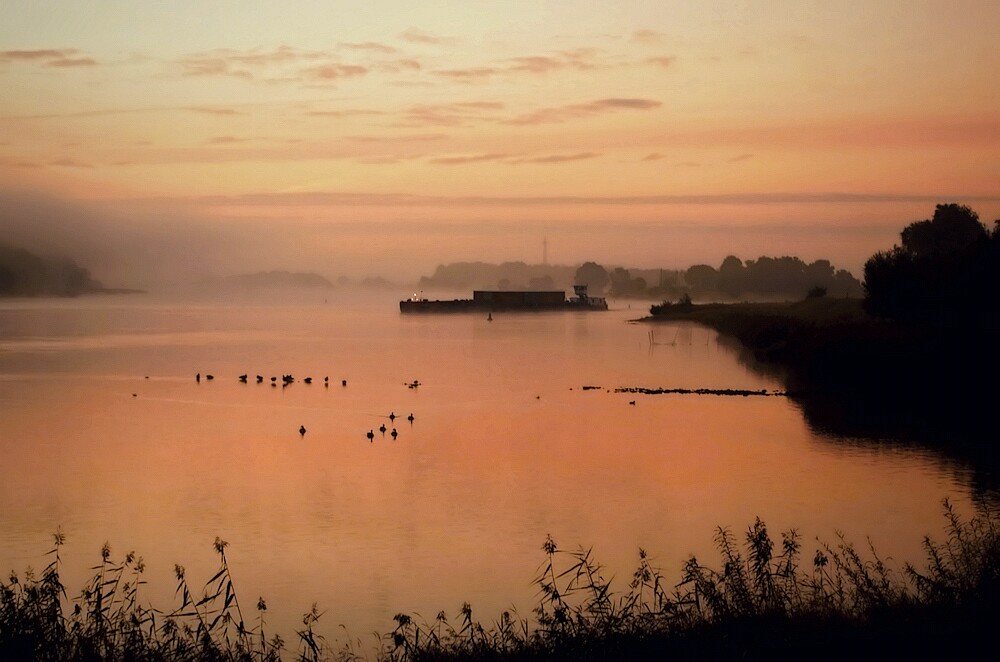 Leichter Morgennebel