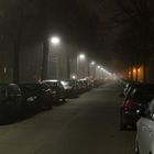 leichter Nebel 2