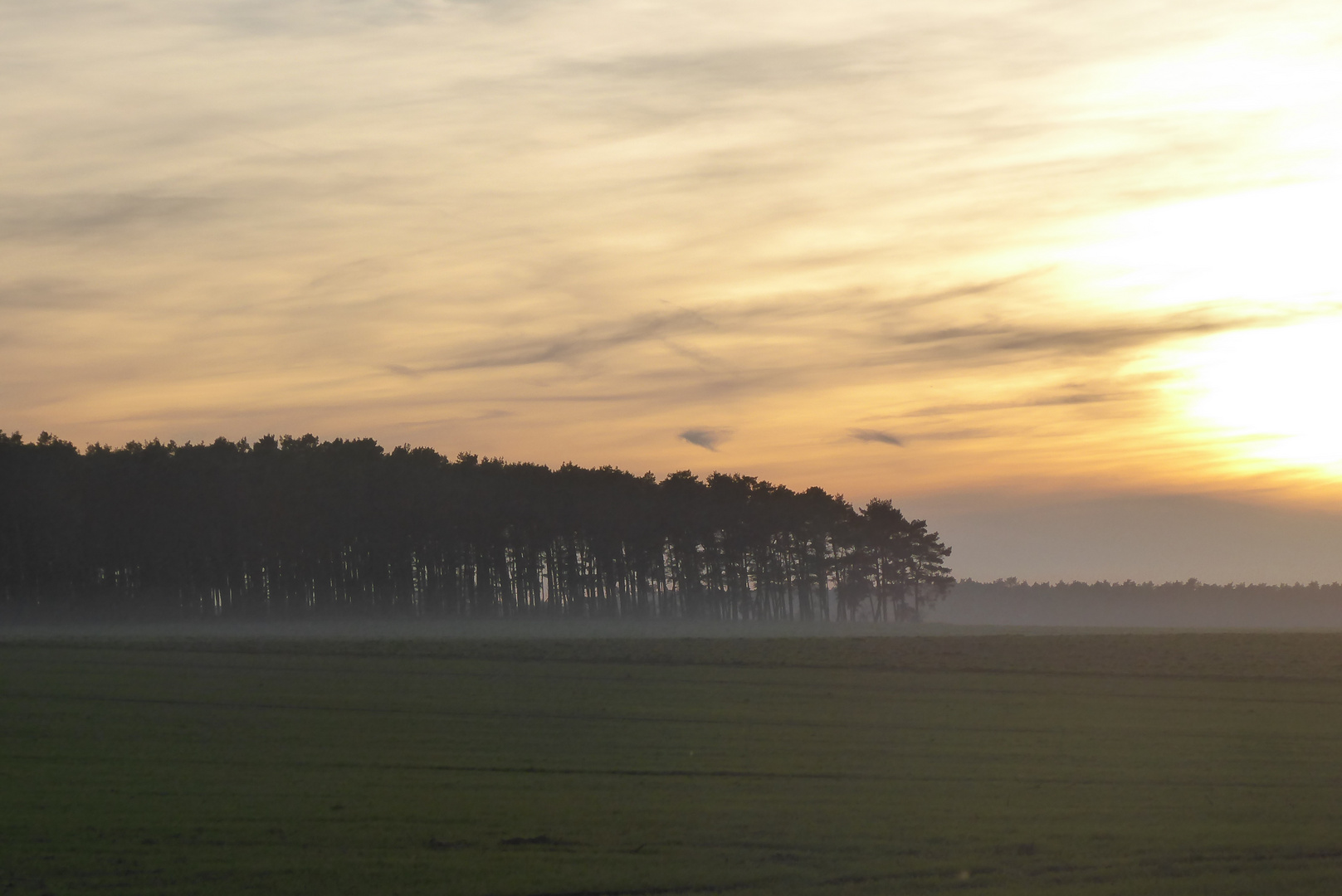 leichter Nebel