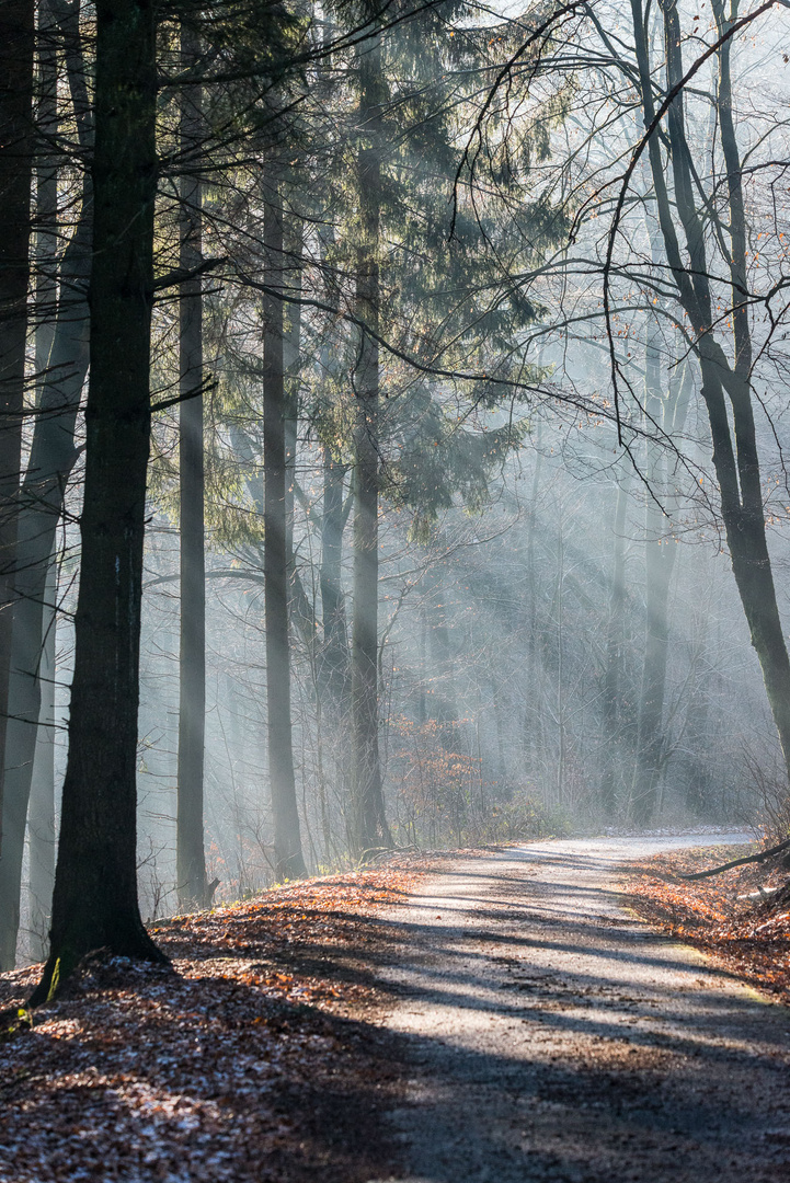 leichter Nebel