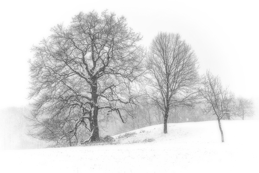 Leichter Nebel