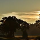 Leichter Nebel am Morgen