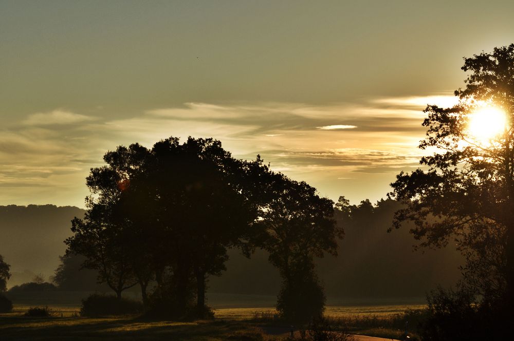 Leichter Nebel am Morgen