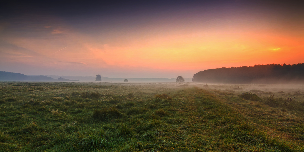 Leichter Nebel am Morgen