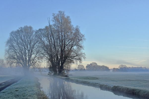 Leichter Nebel am Mühlenstrang.....